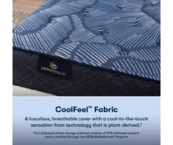 Serta Perfect Sleeper Oasis Sleep 13.25" California King Plush Mattress & Low Profile Box Spring Set -Northlight Sales Store combo980084 4