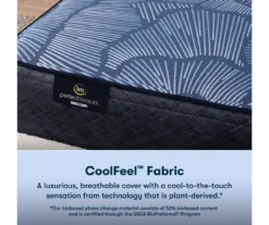 Serta Perfect Sleeper Radiant Rest Hybrid 14" Full Firm Mattress & Low Profile Box Spring Set -Northlight Sales Store combo980090 4