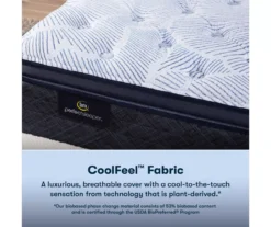 Serta Perfect Sleeper Nurture Night 14.5" Twin XL Plush Pillow Top Mattress & Low Profile Box Spring Set -Northlight Sales Store combo980124 4