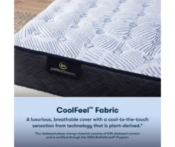 Serta Perfect Sleeper Nurture Night 13.5" California King Medium Mattress & Low Profile Box Spring Set -Northlight Sales Store combo980144 4