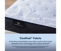 Serta Perfect Sleeper Nurture Night 13.5" California King Plush Mattress & Box Spring Set -Northlight Sales Store combo980155 4