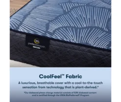 Serta Perfect Sleeper Radiant Rest Hybrid 14" Twin XL Firm Mattress & Low Profile Box Spring Set -Northlight Sales Store combo980205 4